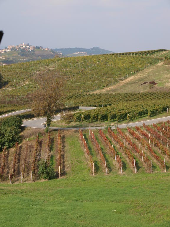 La Terrazza Del Barbaresco Bed & Breakfast Neviglie Luaran gambar