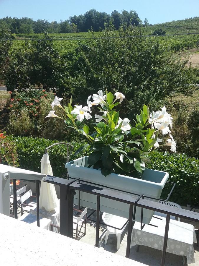 La Terrazza Del Barbaresco Bed & Breakfast Neviglie Luaran gambar